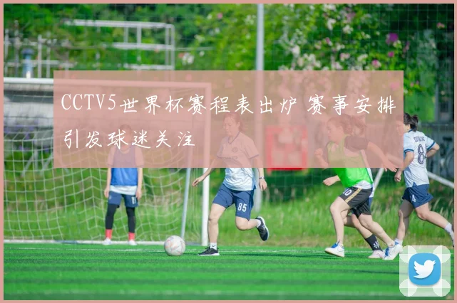 CCTV5世界杯赛程表出炉 赛事安排引发球迷关注