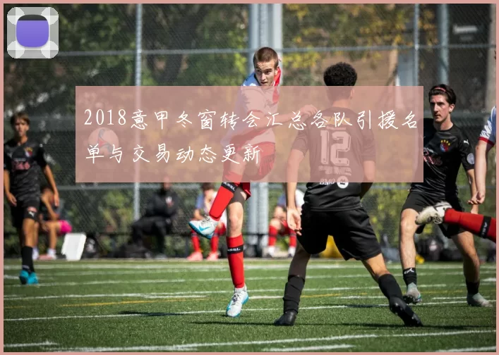 2018意甲冬窗转会汇总各队引援名单与交易动态更新